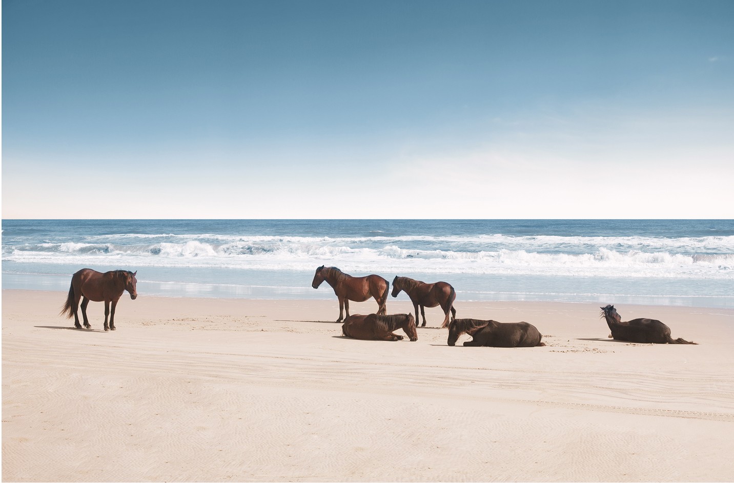 Foodpairing with chef Aljmo and Dom Pérignon P2