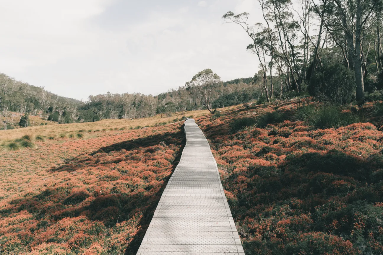 Cradle Valley Boardwalk