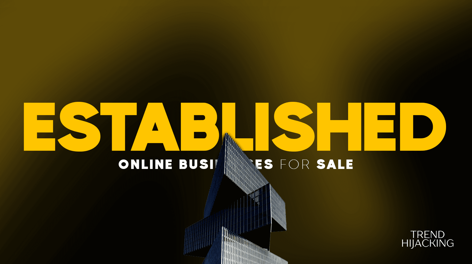 Established Online Business for Sale