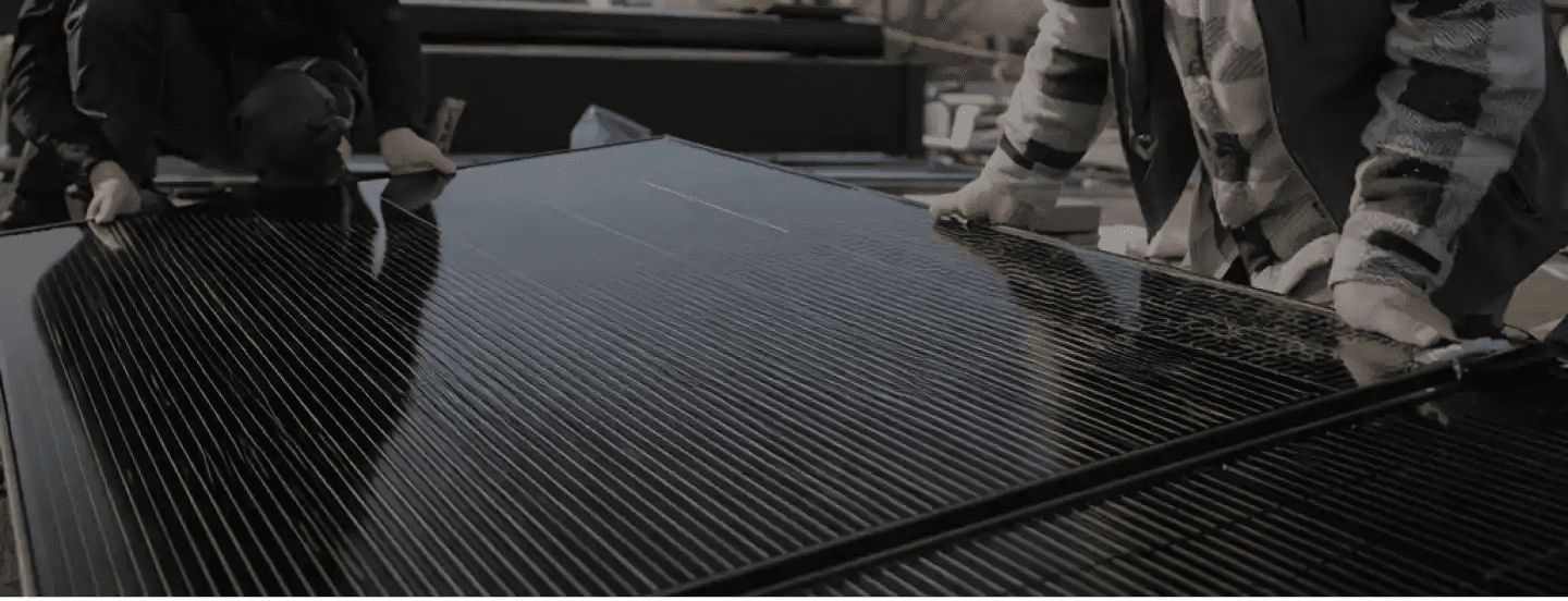 Mold inspector working