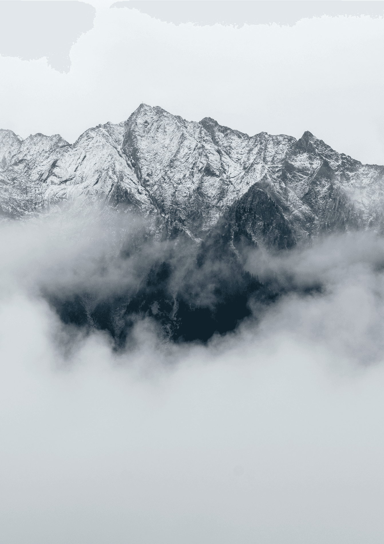 Close-up portrait of a person wearing a gray insulated hooded jacket with the hood up, showing their face framed by the hood against a light background.