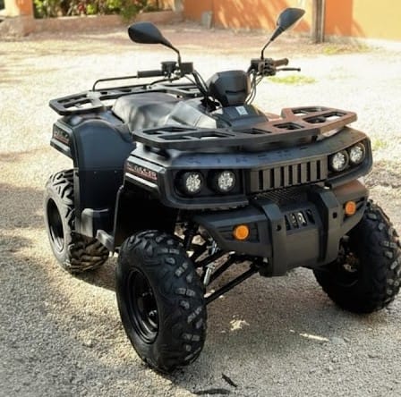 ATV Rental TulumDinamo RLX 200