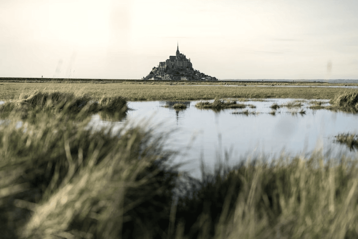 Mont-Saint-Michel in the distance, reflected in still tidal waters surrounded by wild grass.