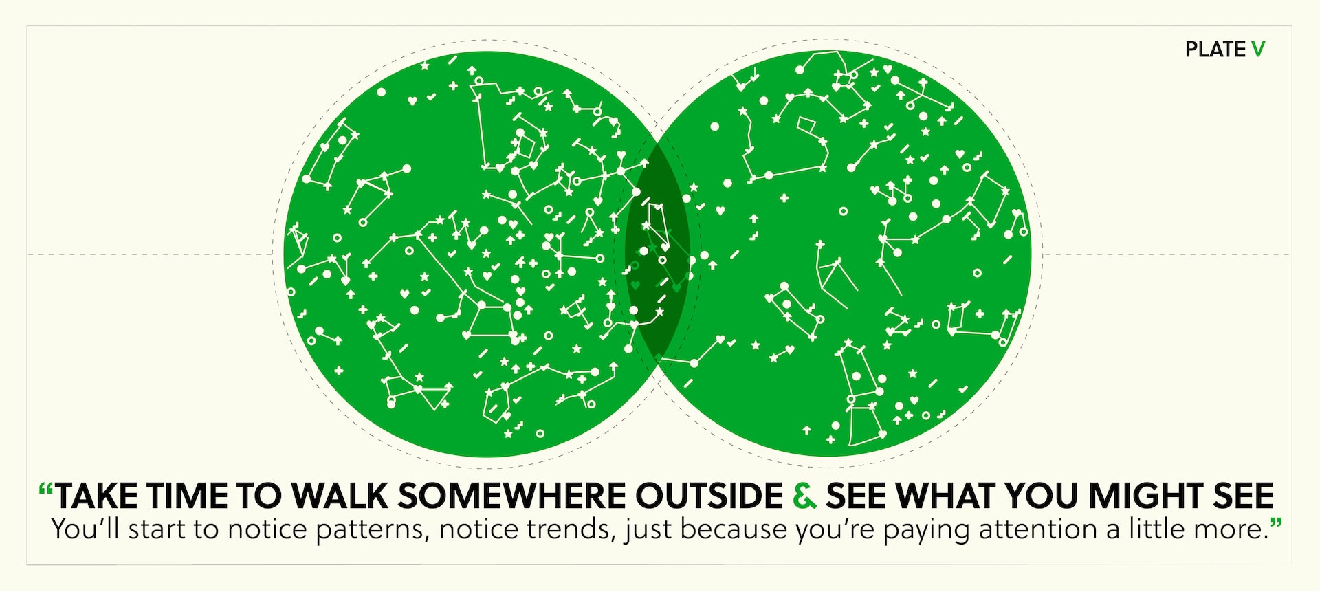 “Take time to walk somewhere outside & see what you might see. You'll start to notice patterns, notice trends, just because you're paying attention a little more.”