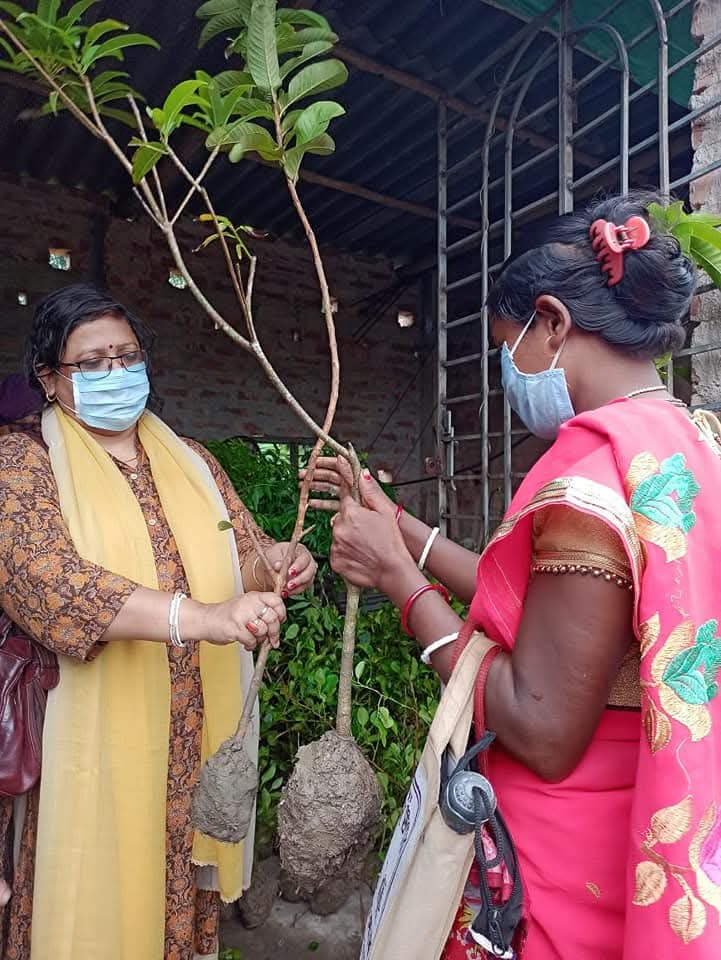 Woman shopping at a plant nursery with a basket