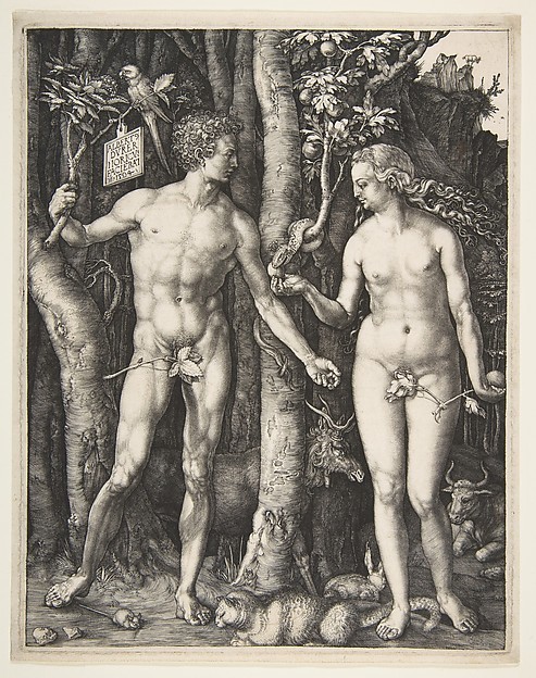 Albrecht Durer, Adam and Eve, 1504
