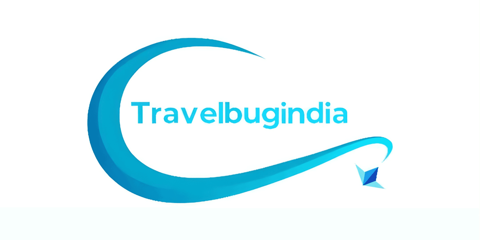 Travelbug India logo featuring a flowing blue curve with the company name, symbolizing personalized travel experiences in South India.