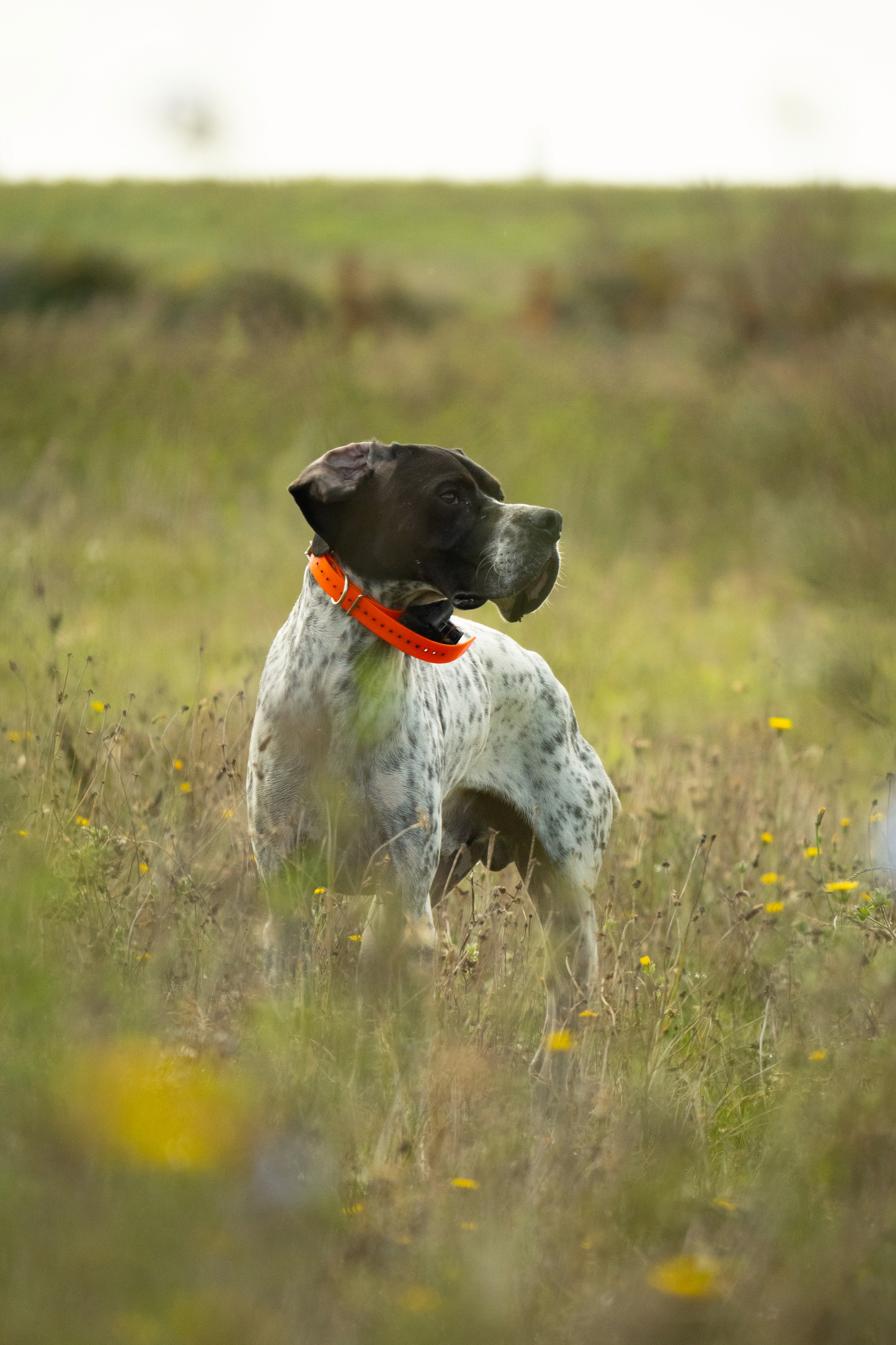 Show, Play, Spectacle, Théâtre, Theater, Music, Musique, Concert, Chorale, Chant, Singing, Choir, Photography, Photoshoot, Photographie