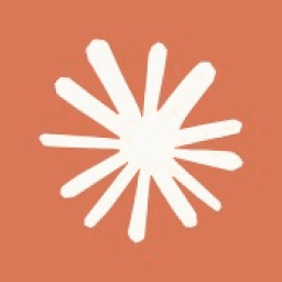 Claude Code Consultant