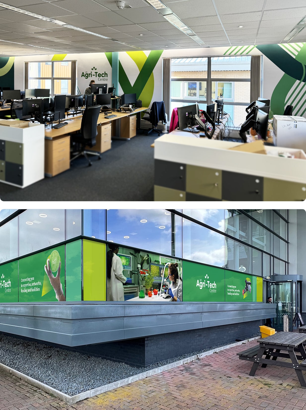 Corporate Wall and Window Graphics