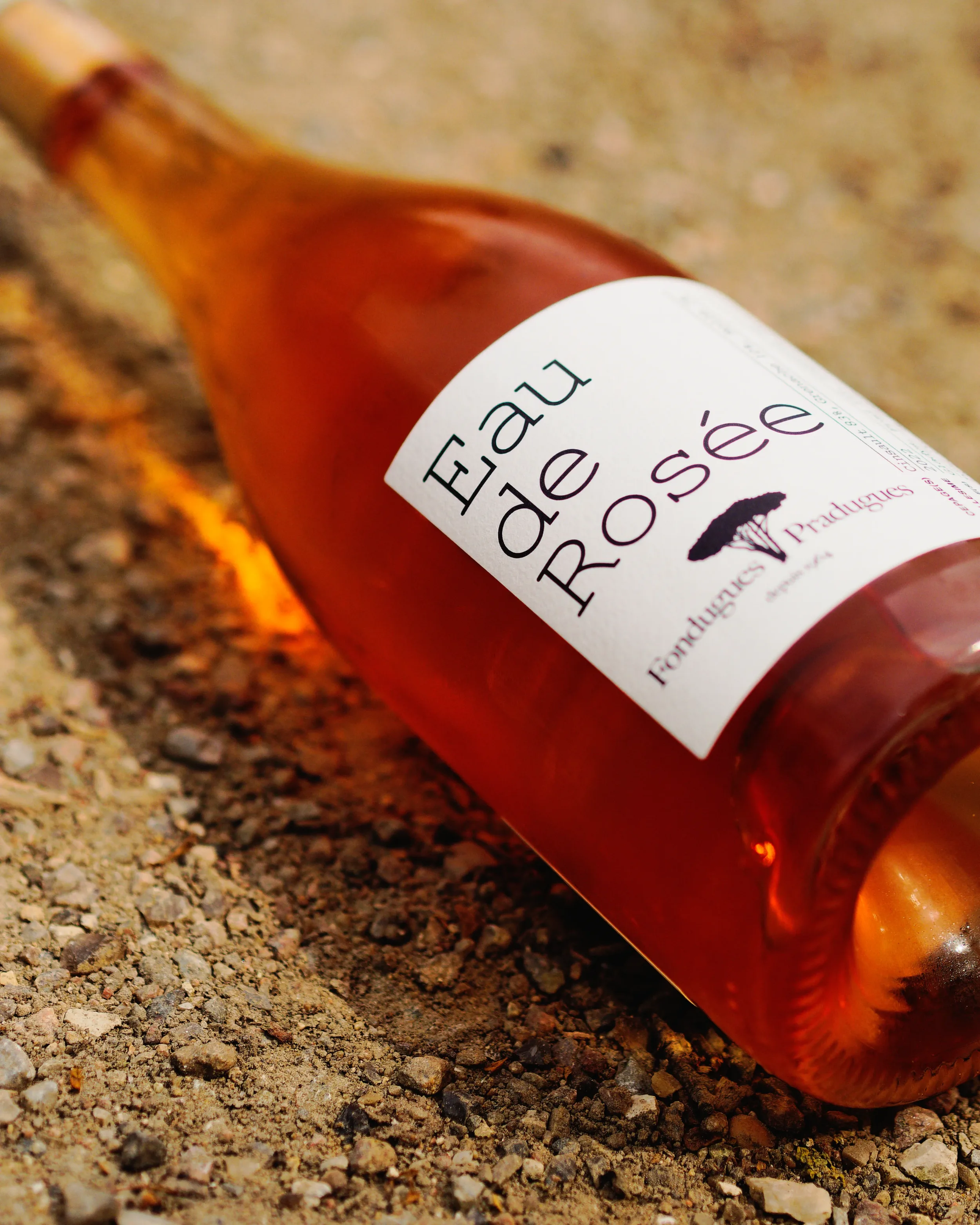 Photographies sensibles et naturelles mettant en valeur les bouteilles de vin nature vendues par Paris 90 à Copenhague