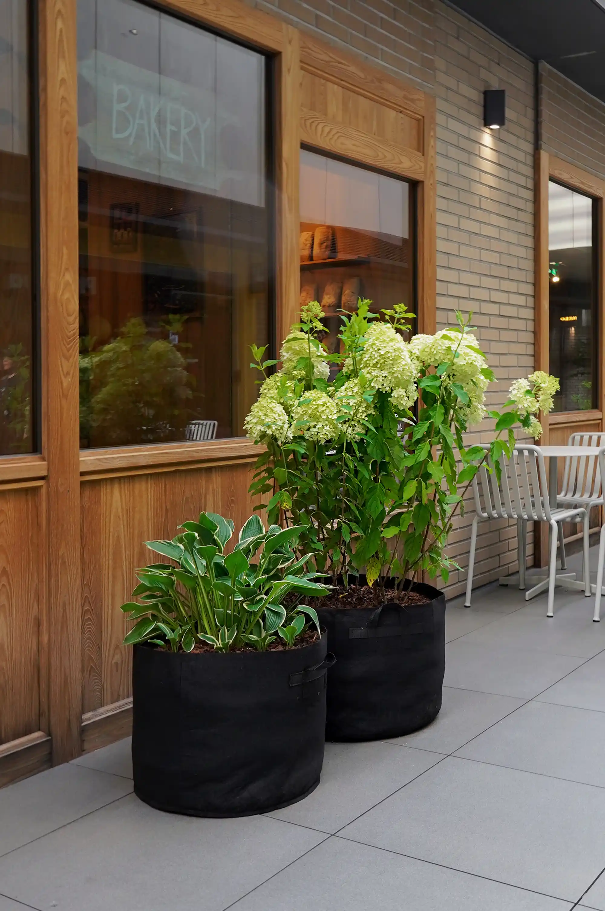 높이가 낮은 식물과 높은 꽃나무가 시각적으로 리듬을 형성하고 있는 모습