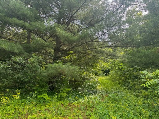 Photo 13 of 34.59 Acres Riverbend Road, Gratiot