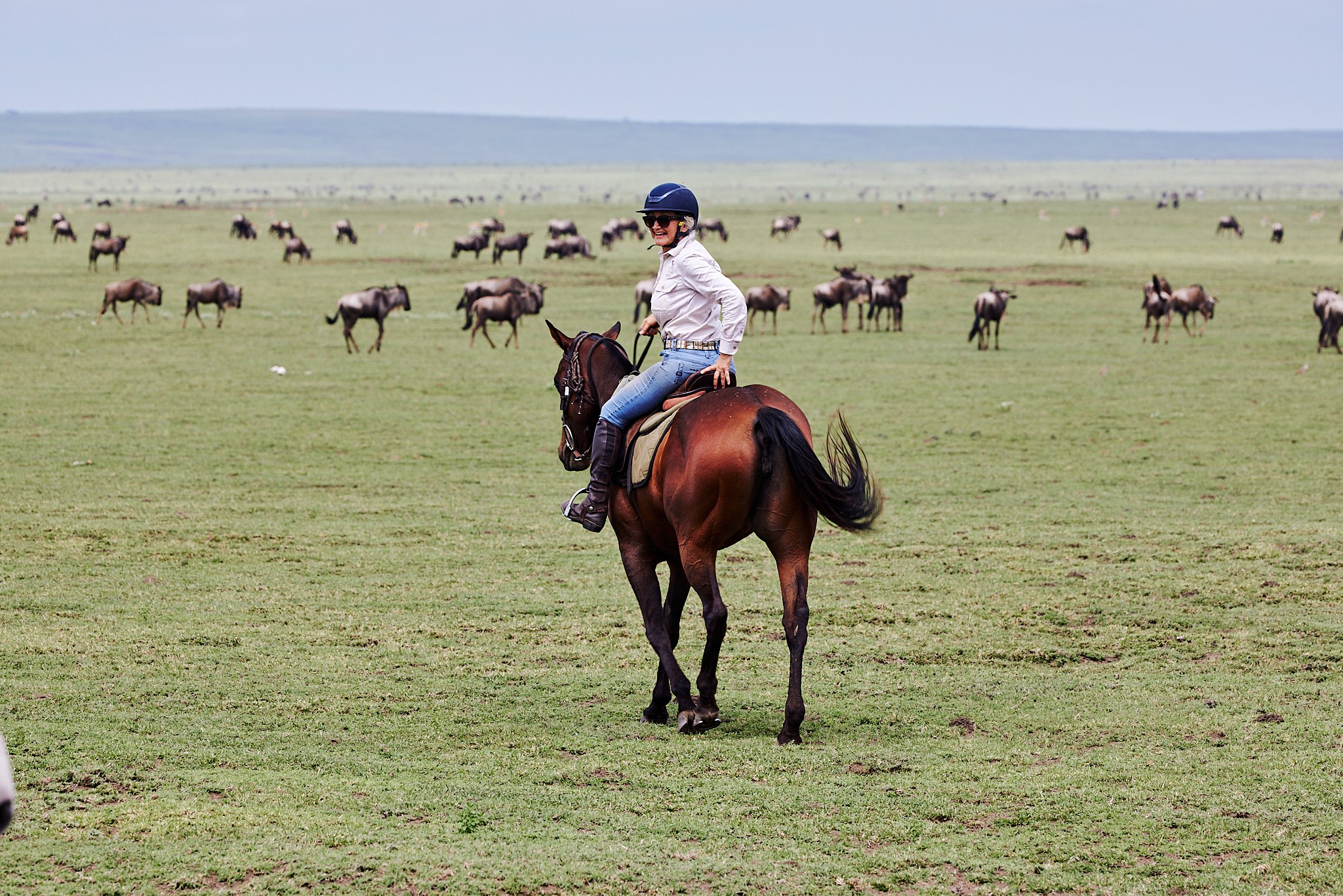 Grupp av ryttare på ridresa i Afrika galopperar över Serengetis vidsträckta slätter medan damm och gnuhjordar rör sig över horisonten under the great migration.