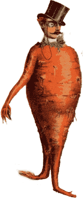 Benicaros carrot, a natural, carrot-derived fiber showing measurable gut microbiome improvements.