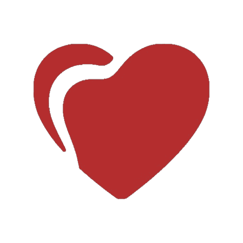 Our mission Icon