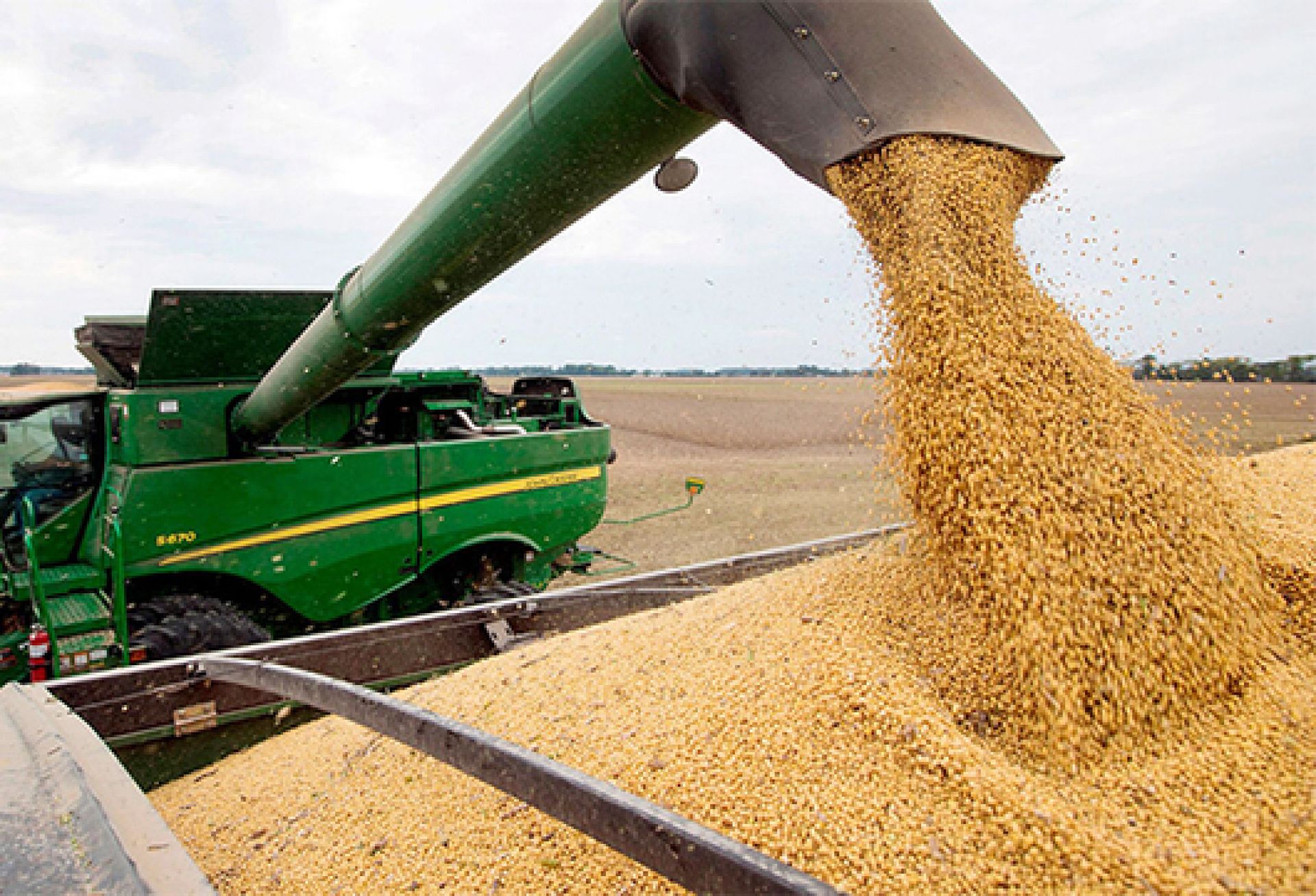 Close-up of blue flowers, glistening with droplets of water, creating a serene and calming atmosphere.