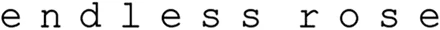 Logo 13