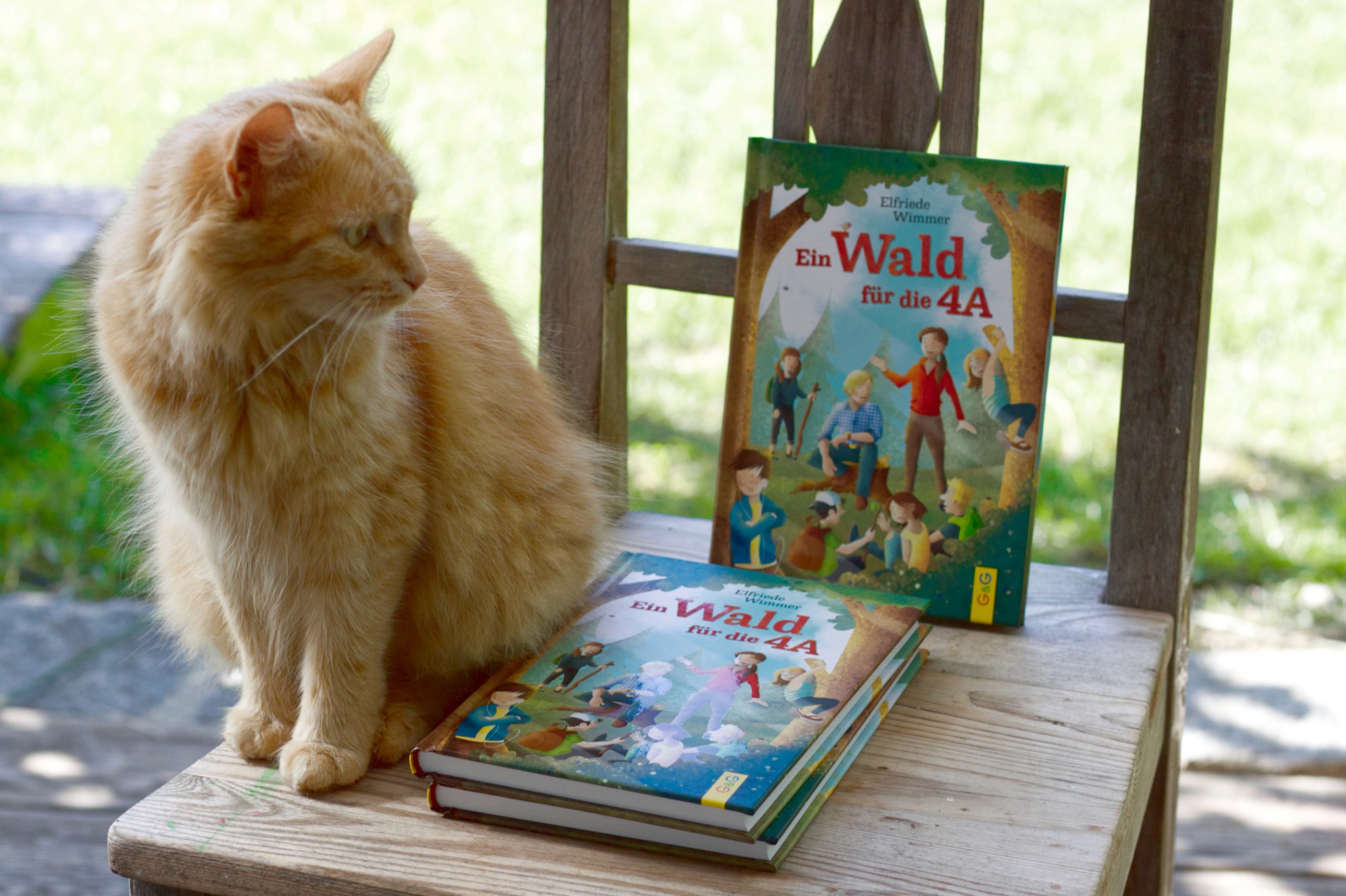 Ein Wald für die 4A Cover