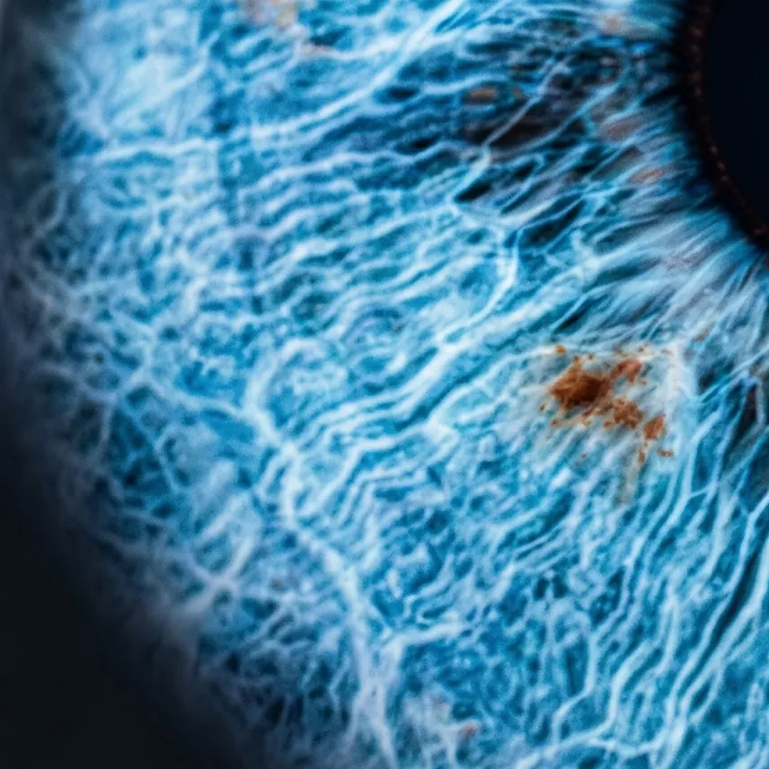 Fotografia macro di un’iride azzurra realizzata per IRIS DAY di Ottica Dentella ad Ancona, con dettagli estremamente ravvicinati delle fibre, delle sfumature blu e delle naturali variazioni cromatiche dell’occhio. IRIS DAY trasforma l’unicità dell’iride in un’immagine artistica ad alta definizione, valorizzando forme, colori e trame che rendono ogni occhio diverso da qualsiasi altro.
