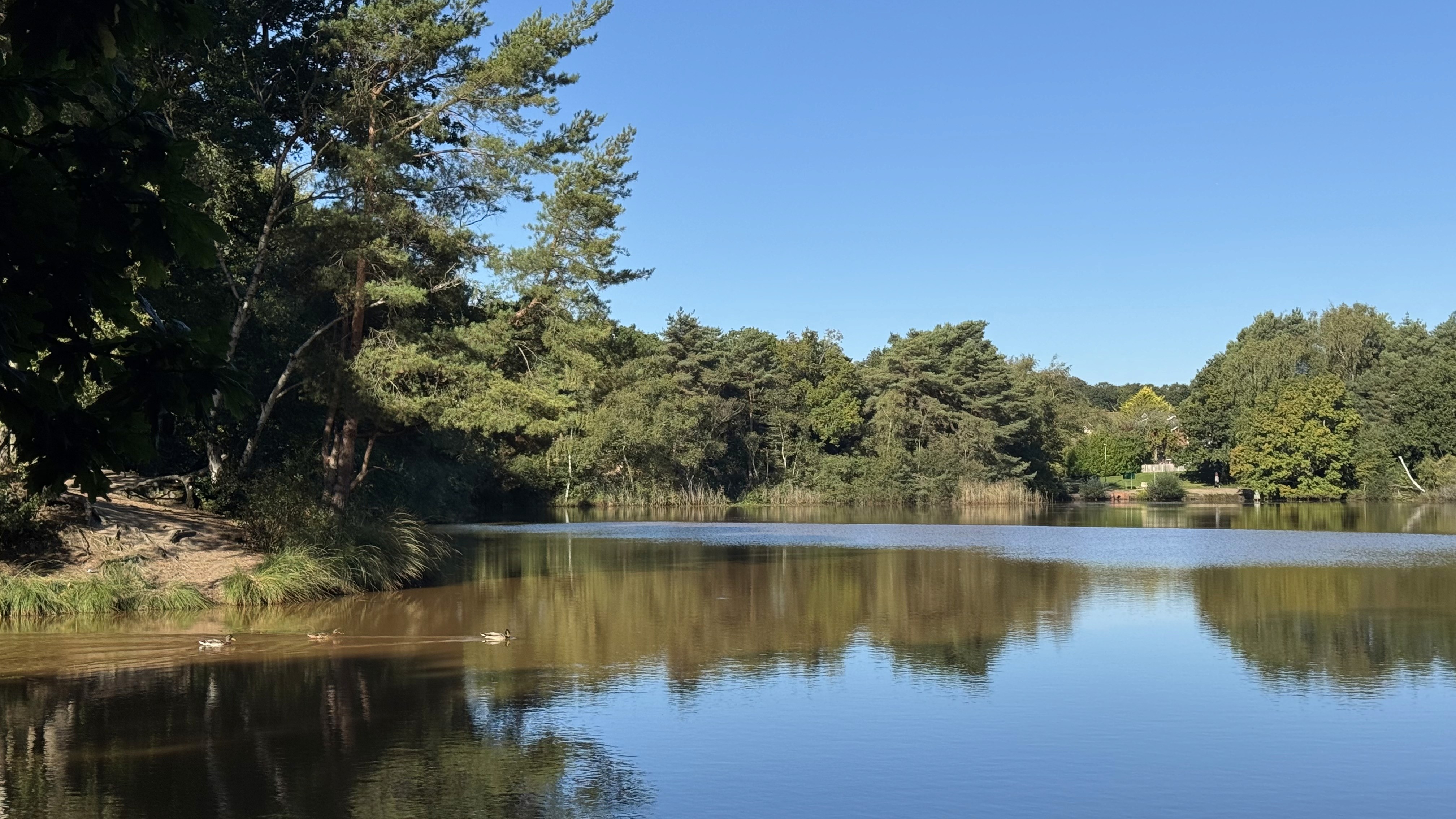 Creekmoor Ponds Nature Reserve