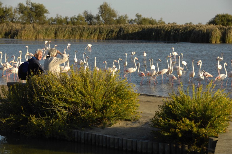 a woman getting a back massage at a spa