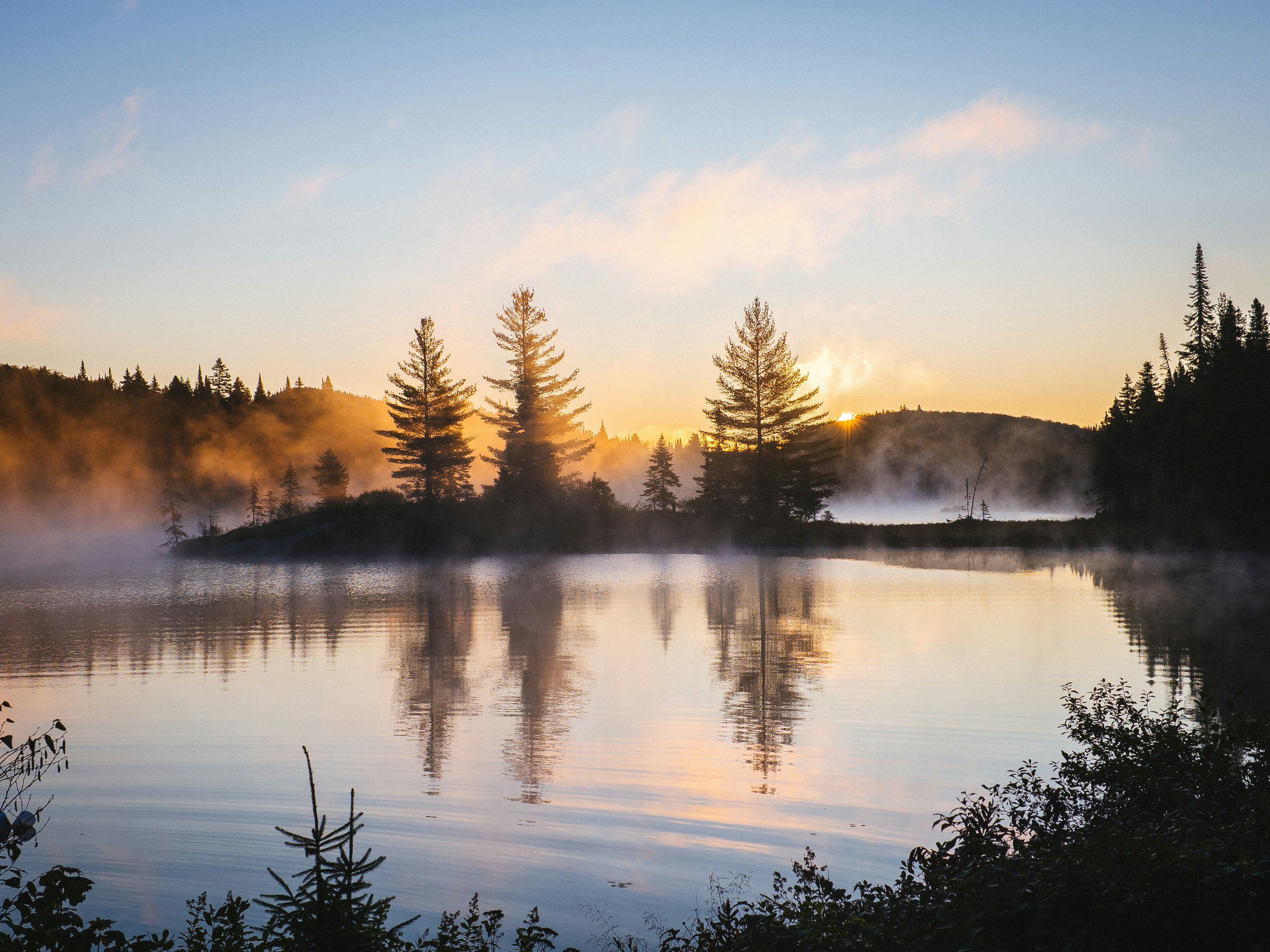silhouette of trees and body of water in sunrise background