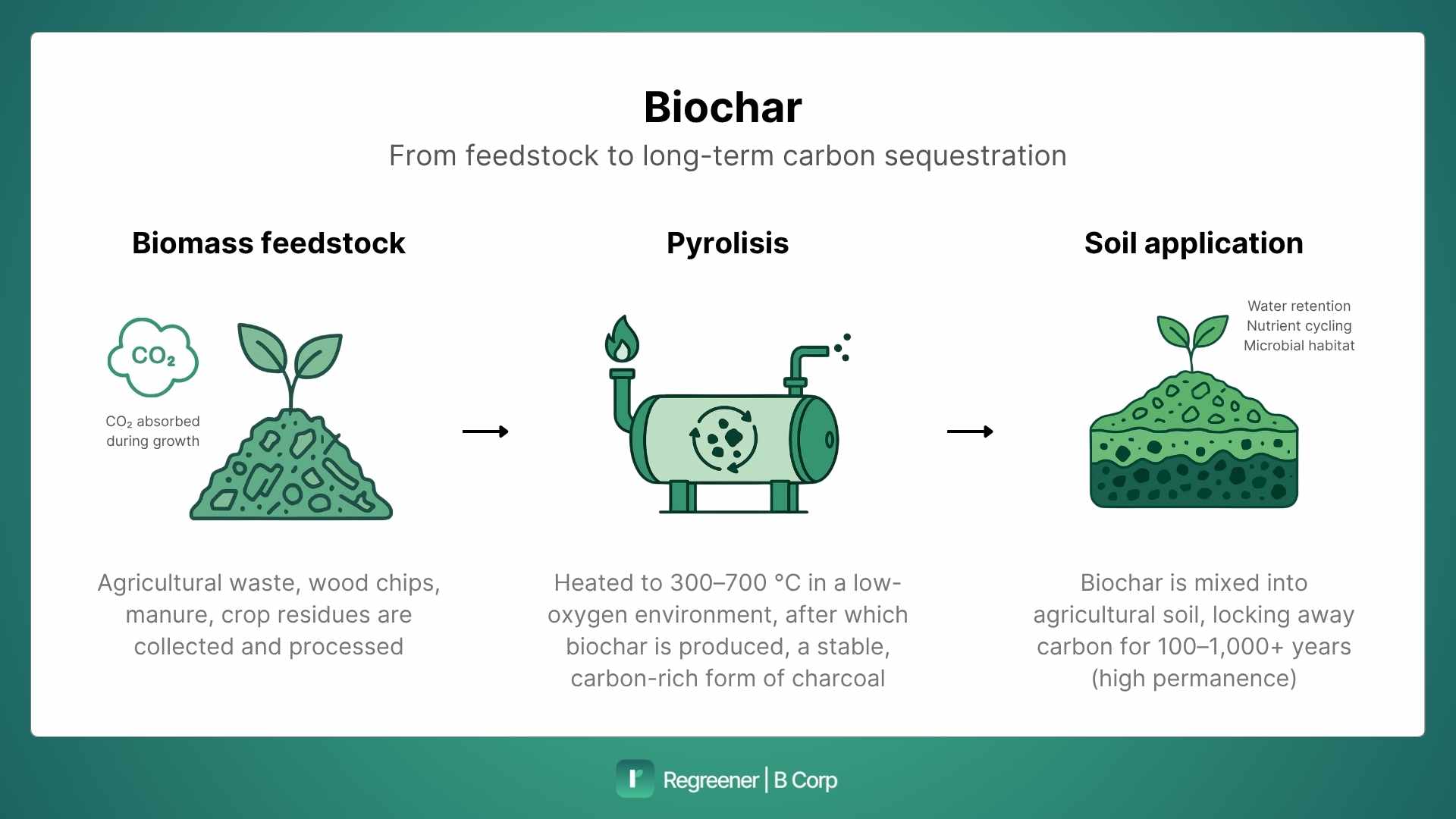 an explanation of the biochar process by Regreener