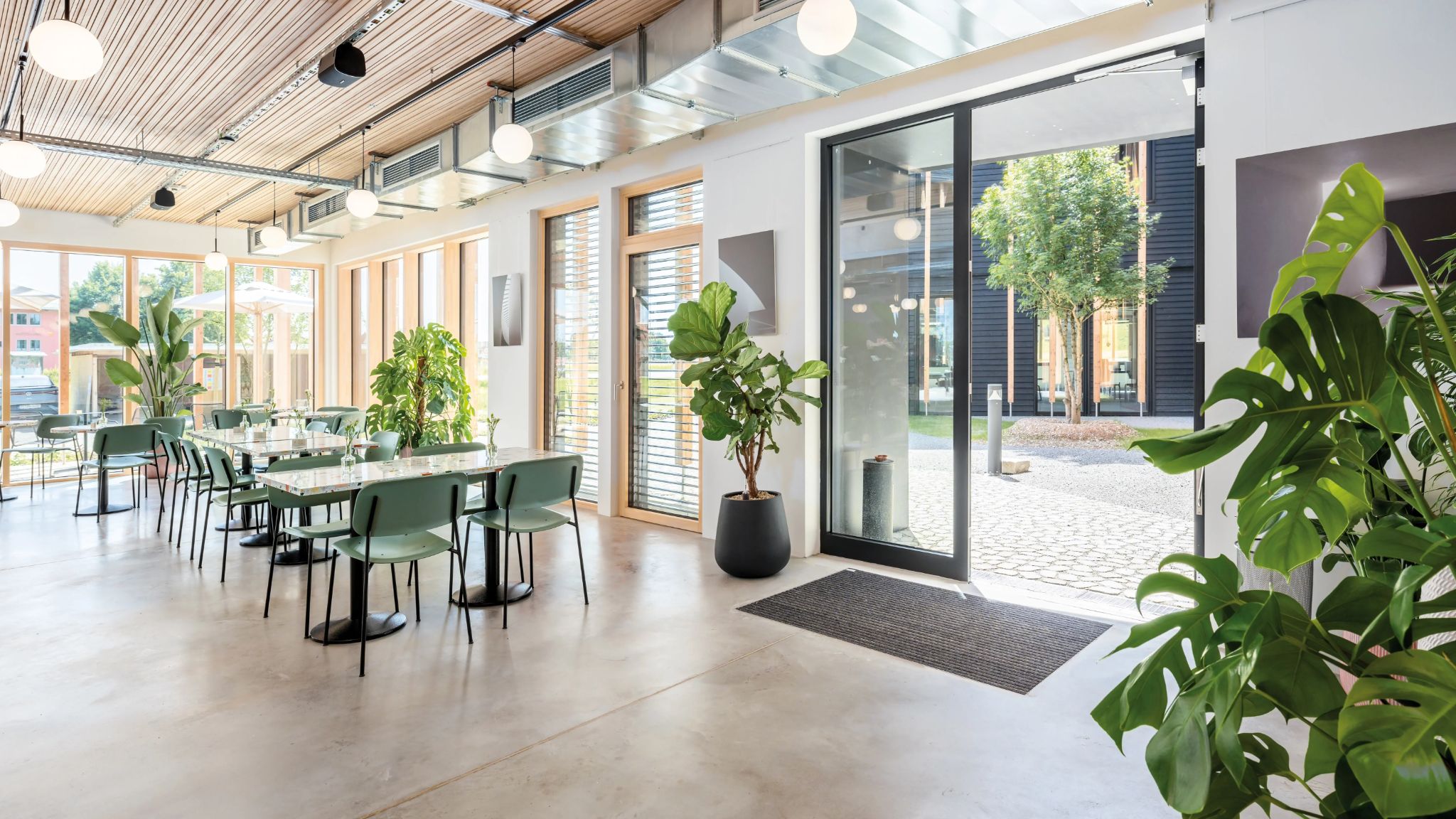 Moderne Cafeteria mit hellen Holzbalken, vielen Fenstern, grünen Stühlen und Tischen sowie großer Topfpflanze vor der Glastür.