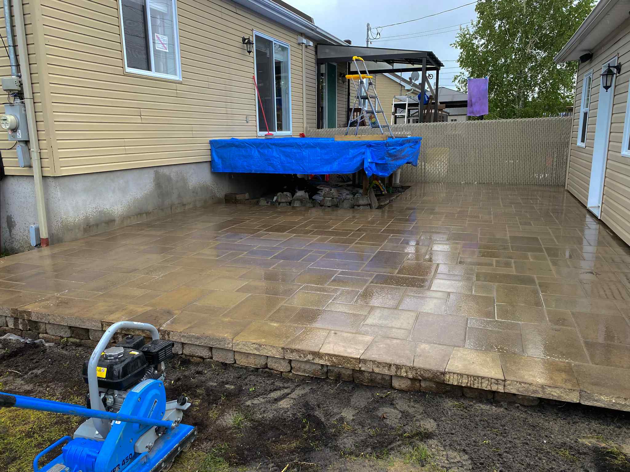 Taille de haie de cèdres parfaitement droite effectuée par Pelouse Men Paysagement dans une cour résidentielle.