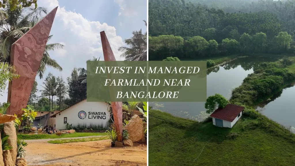 Why to Invest in Managed Farmland In Swasya near Bangalore