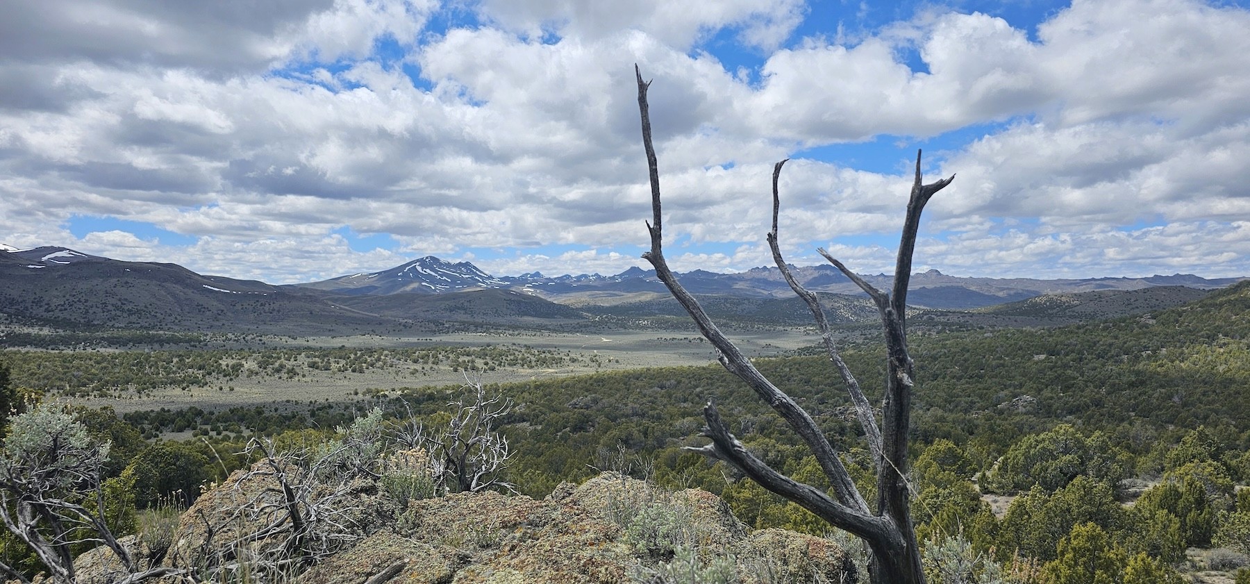 structural shot of wind mills during daytime