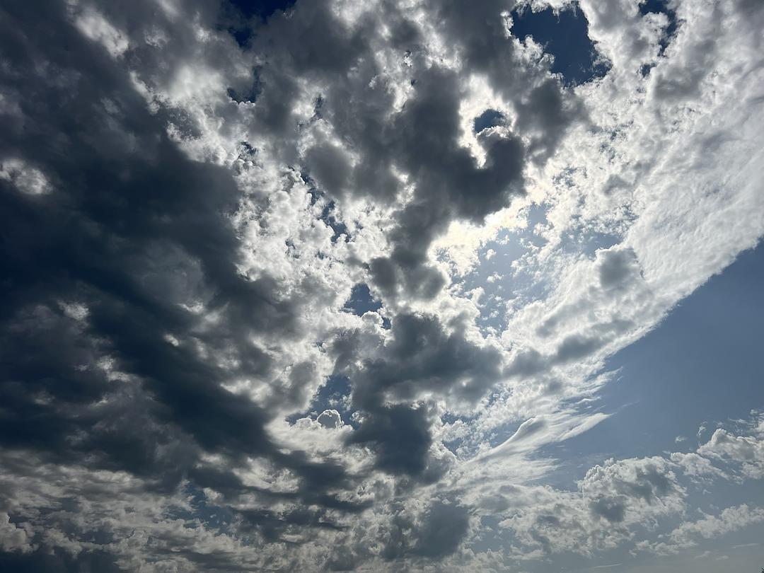 a black and white cat laying on top of a white wall
