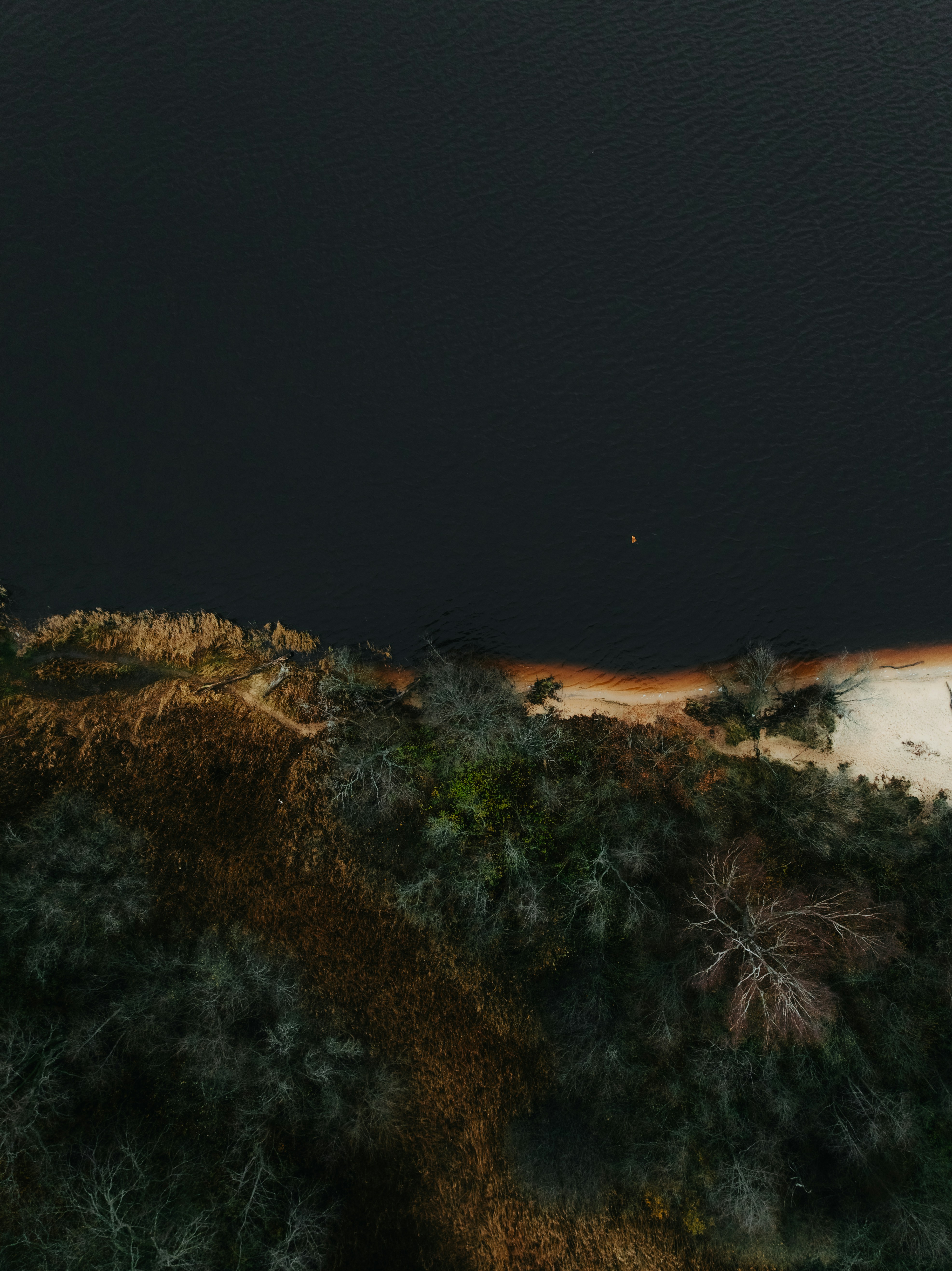 Aerial view of a dark lake and wooded shoreline
