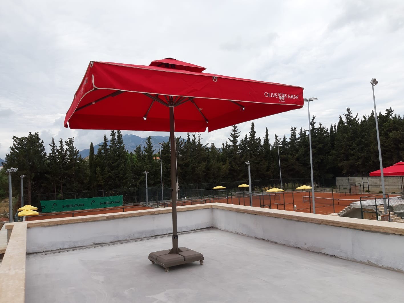 husband and wife working happily on a laptop