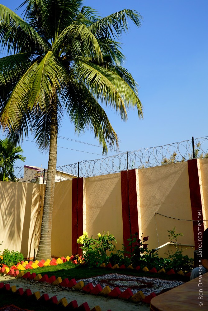 Garden in front of barbed wire wall.