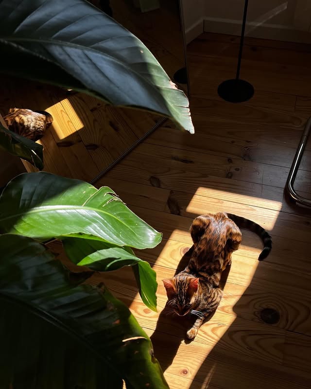 Una&Co photo Visite à domicile