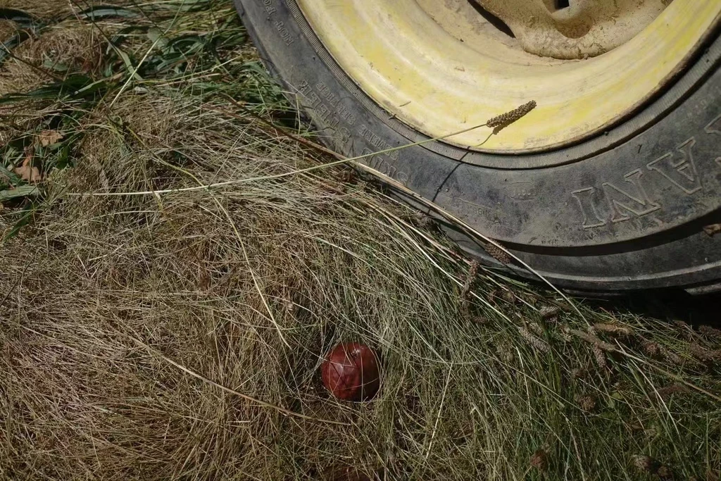 The image featured in the middle of the about us page