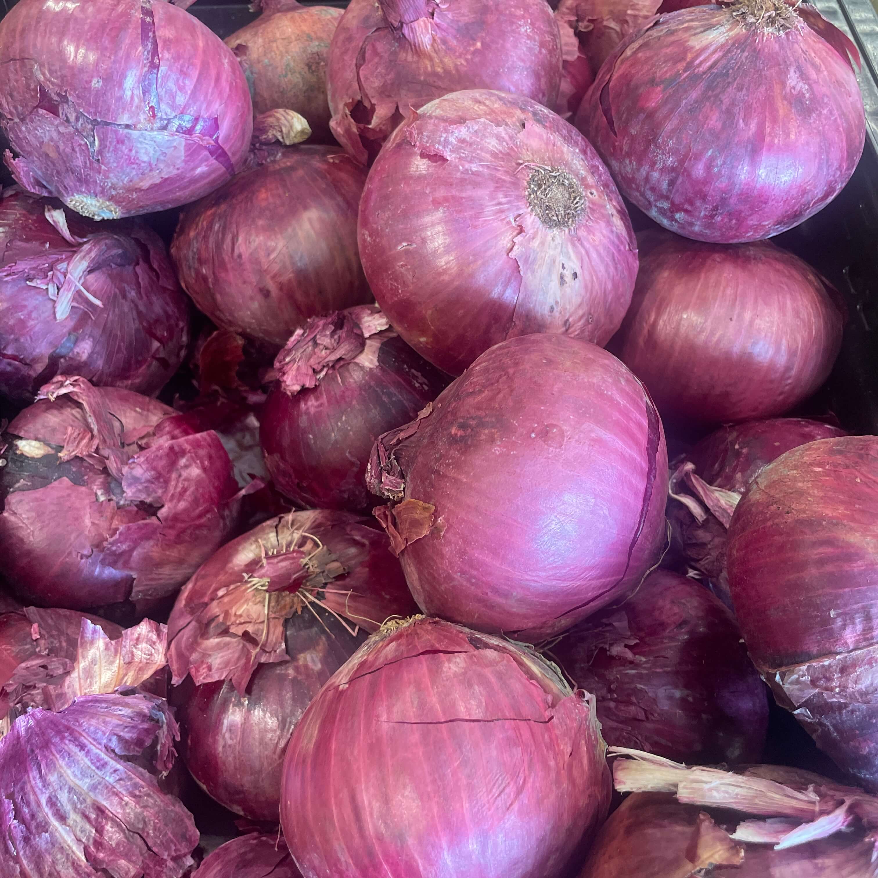 Red onions on display at International Food Market Orlando.