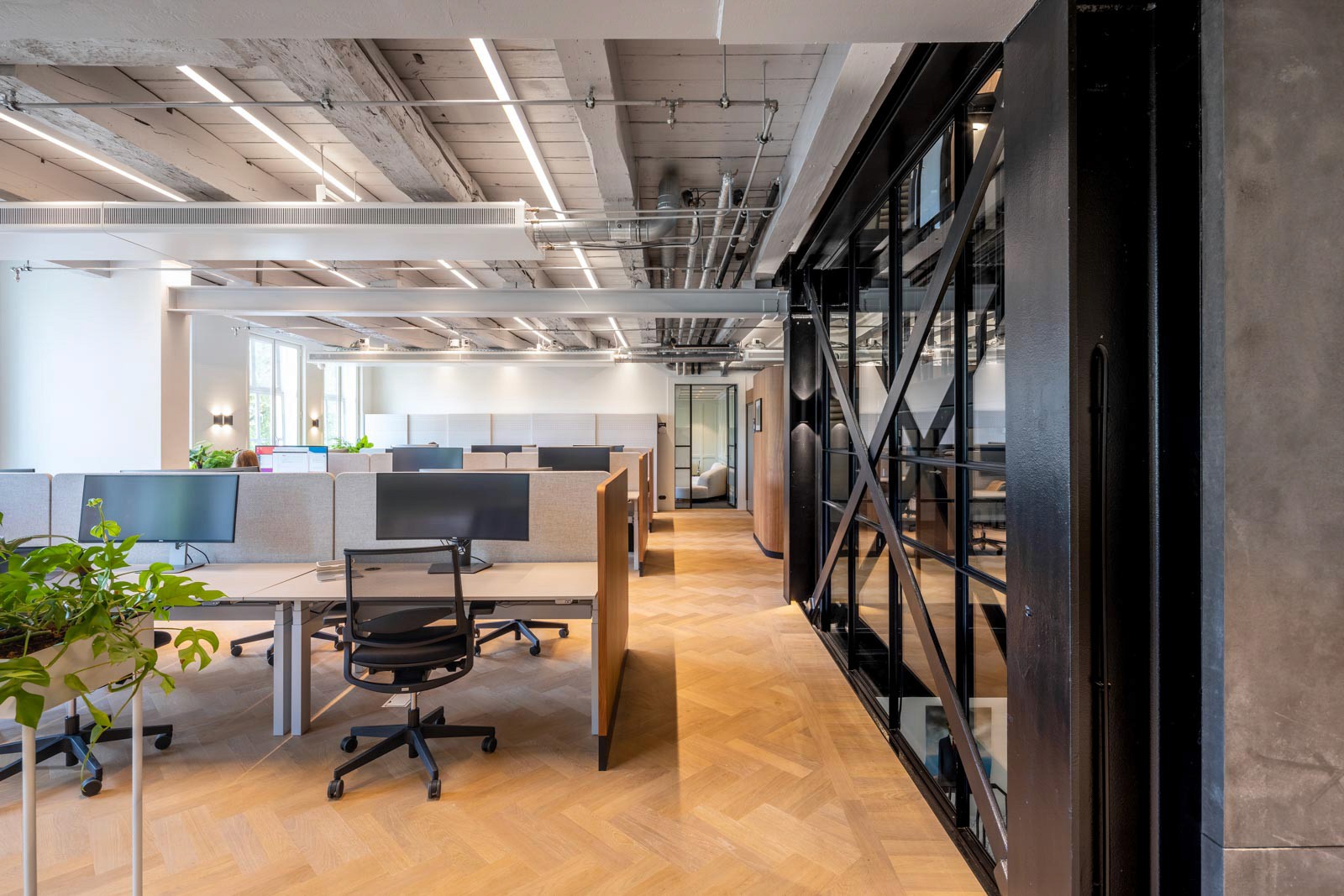 Positive Space - Mollie HQ workspace 3