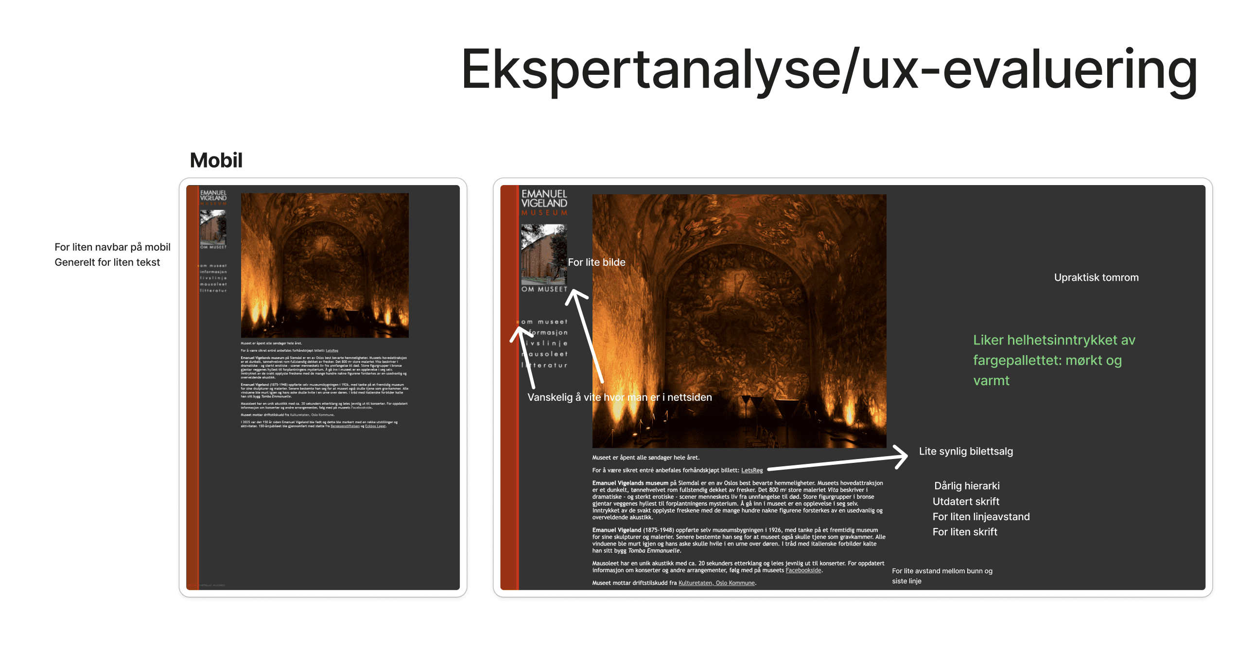 Nærbilde av ekspertanalyse av Emanuel Vigeland Museumets nettside