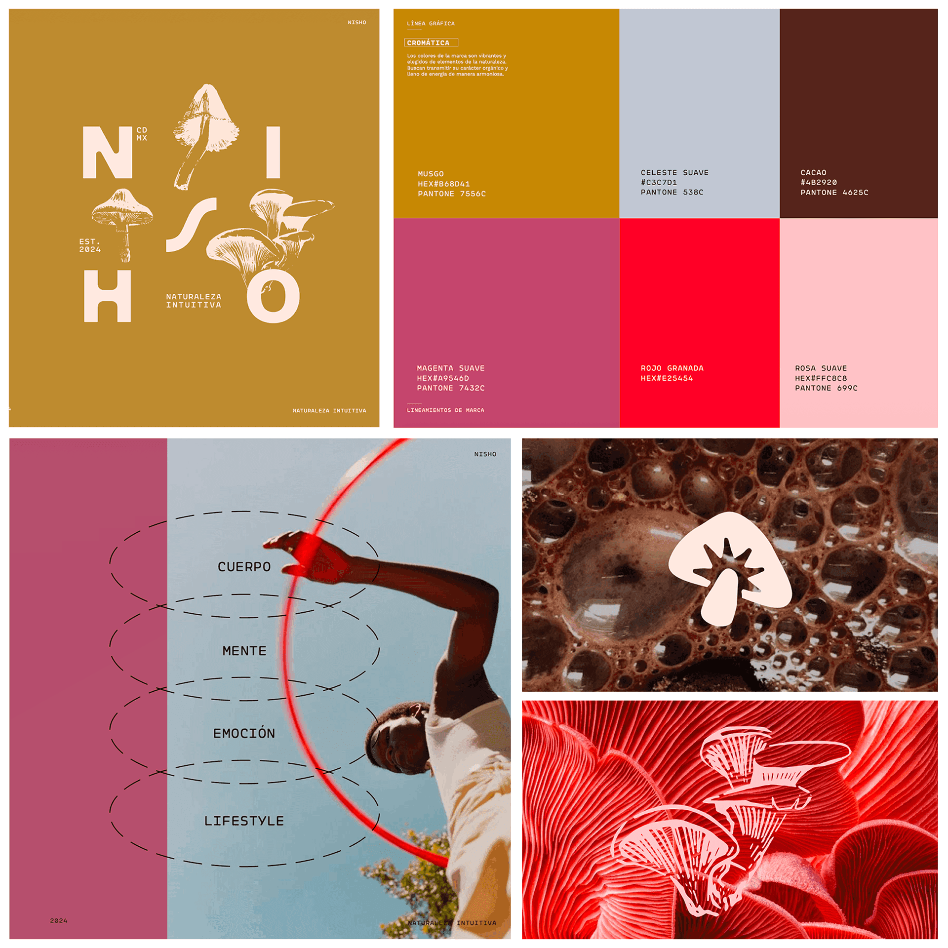 device with website mockup