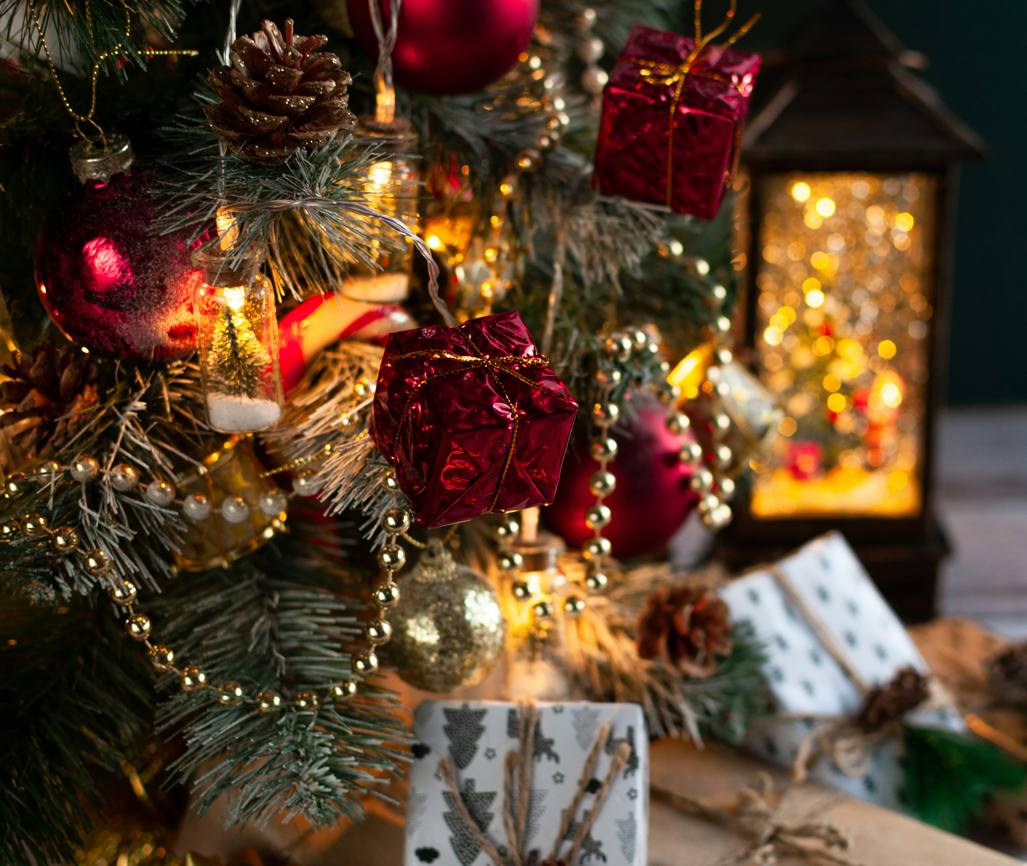 Gesetzes Menü Catering Berlin für Veranstaltungen - Kopf und Gaumen