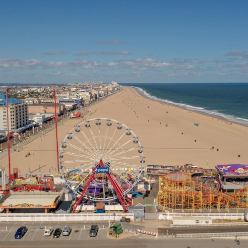 码头的罗杰欢乐时光®