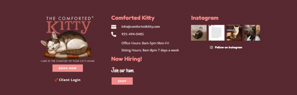 Instagram content in website footer