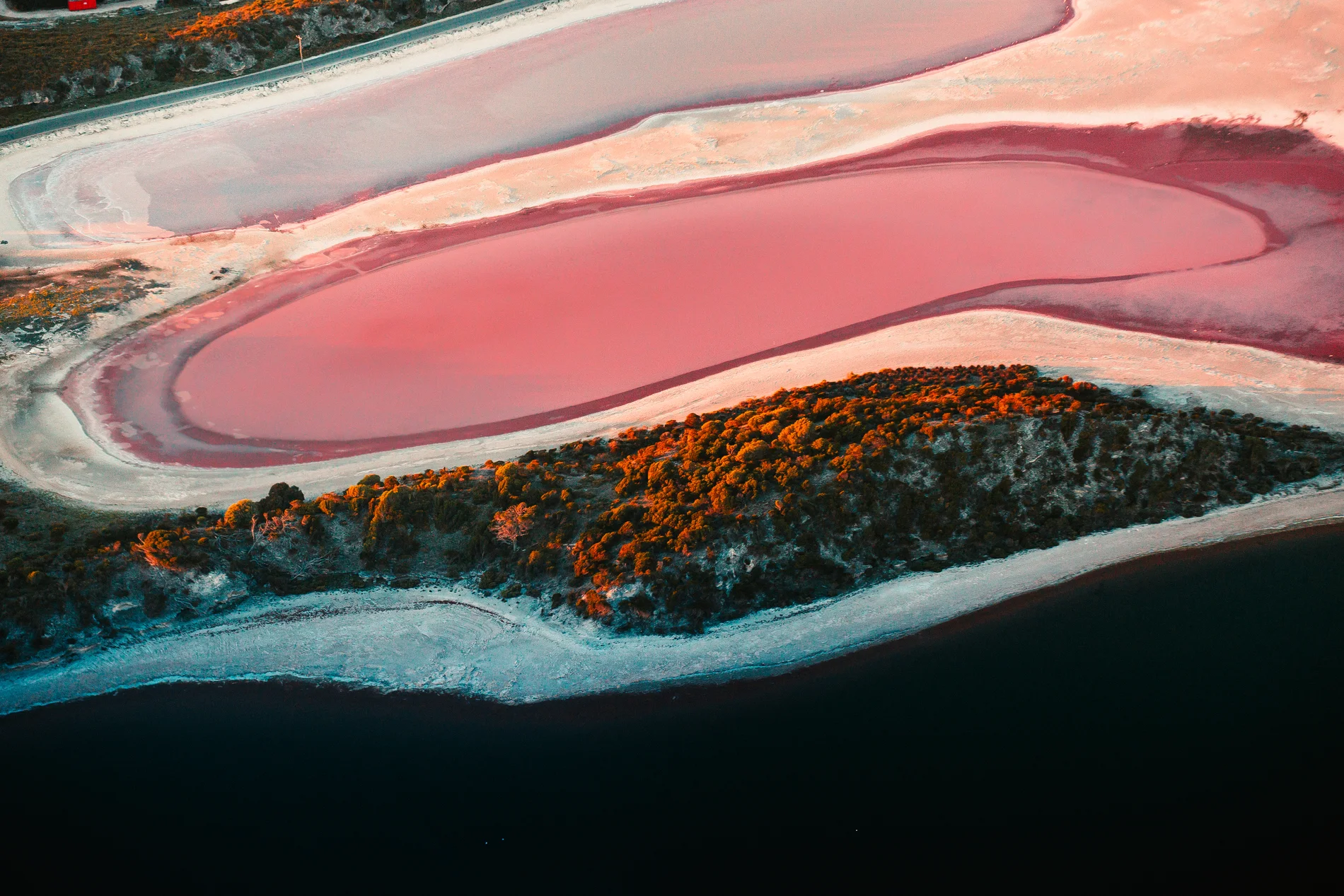 Aerial of a bright pink salt lake separated from blue water by a narrow vegetated spit