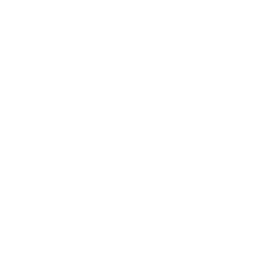China Airlines White Logo