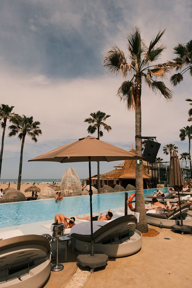 Tropical beach resort scene with palm trees, outdoor seating, and a relaxed coastal atmosphere.