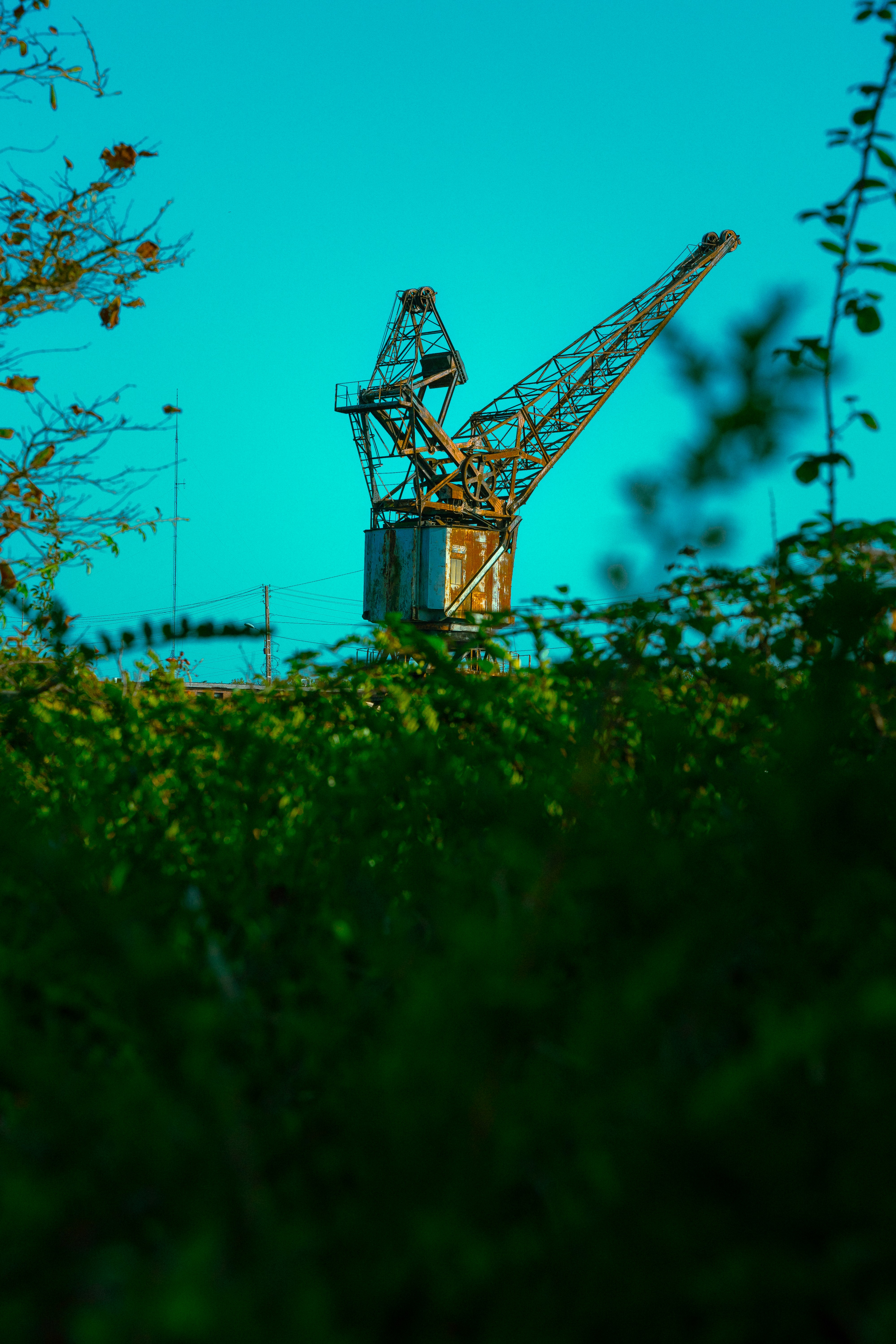 Portrait Homme Noir et Blanc