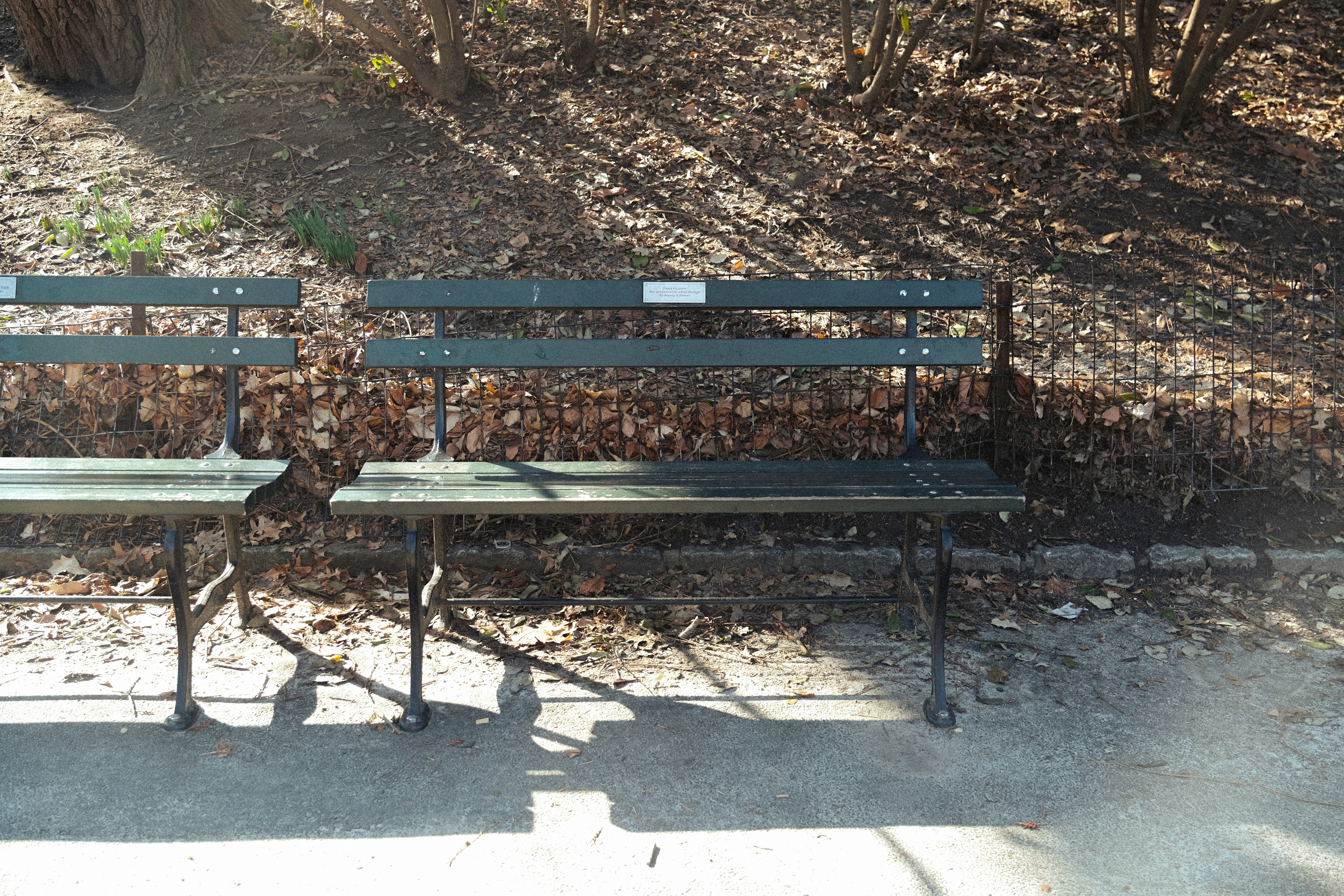A green park bench